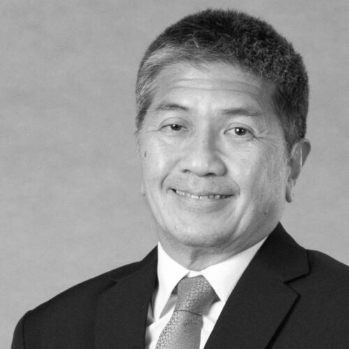 David L. Rafael - Havitas Properties Inc.